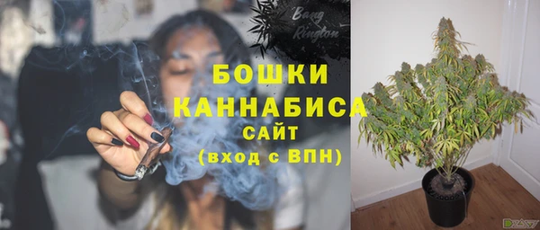 стаф Киреевск