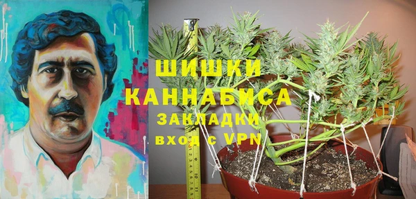 стаф Киреевск